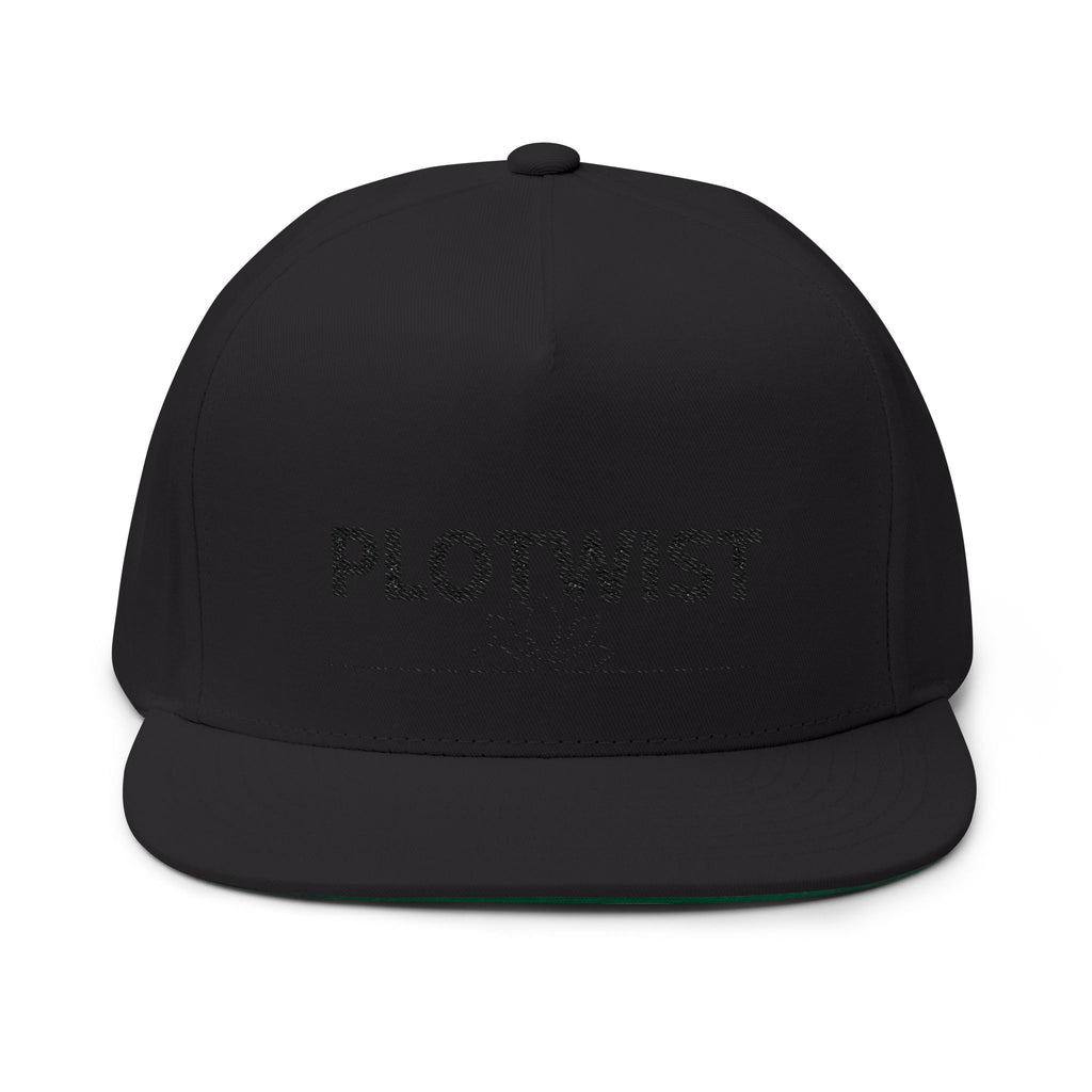 Plotwist Embroidered Flat Bill Cap — Minimal Logo Snapback Hat